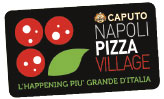 napoli-pizza-village-logo.jpg